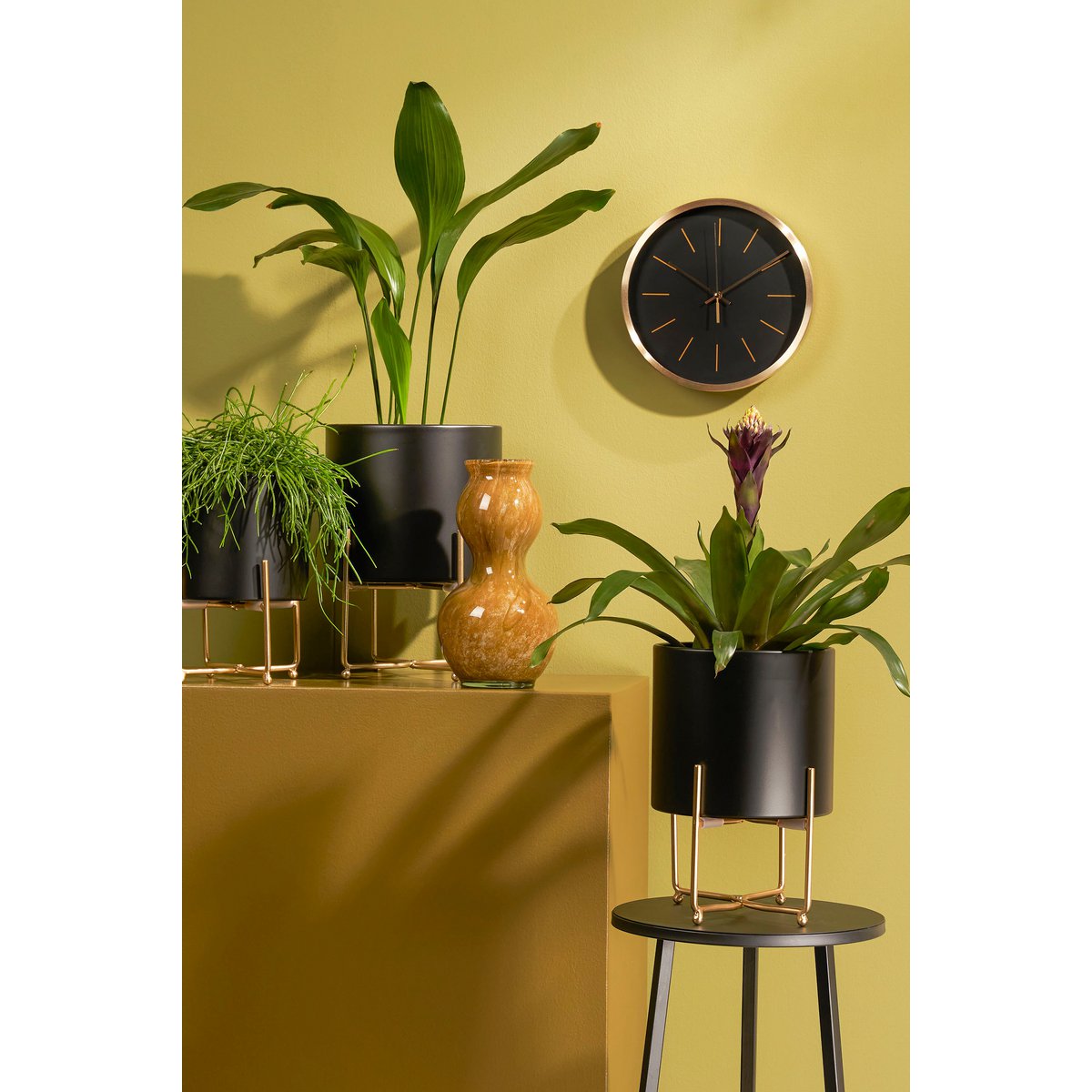 Plantenstandaard set Zwart Ijzer