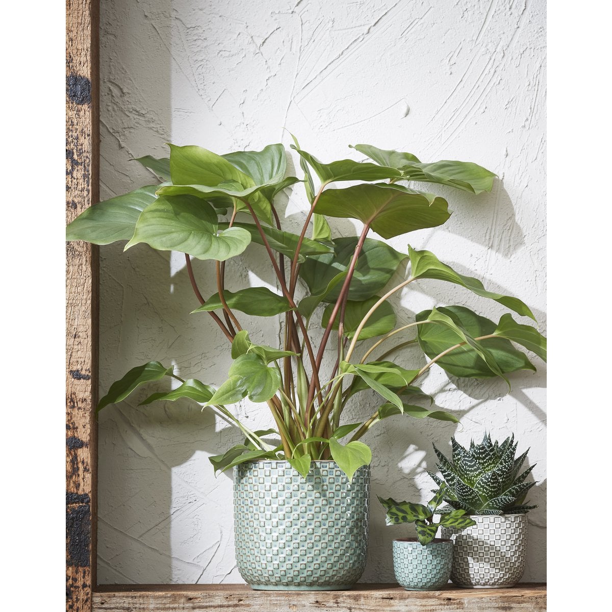 Bloempot binnen Groen Keramisch