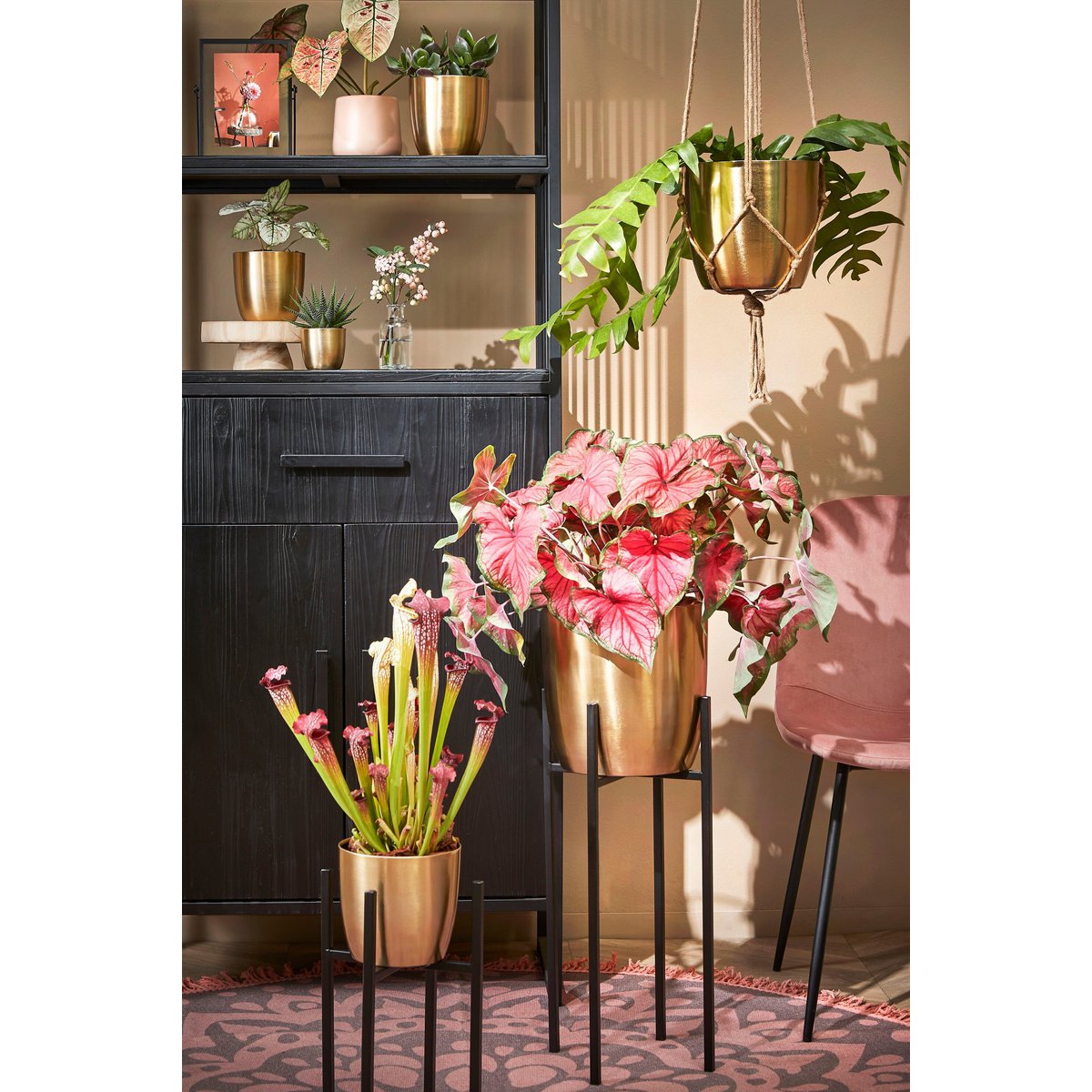 Plantenstandaard Zwart Ijzer